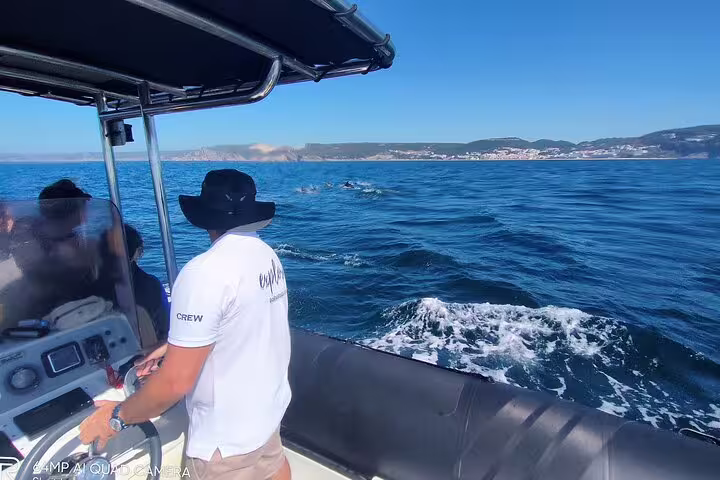 Boat captain guiding a dolphin watching tour in Sesimbra, with clear blue waters and scenic coastline in the background.