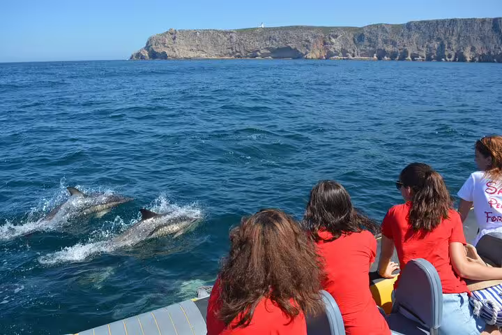 Tourists enjoy a thrilling dolphin watching boat tour in Sesimbra, capturing stunning views of playful dolphins and scenic cliffs.