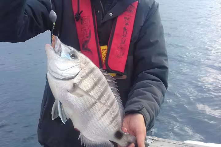 Angler proudly displays a freshly caught fish on a sport fishing tour in Sesimbra, highlighting the adventure and success of the all-inclusive experience.