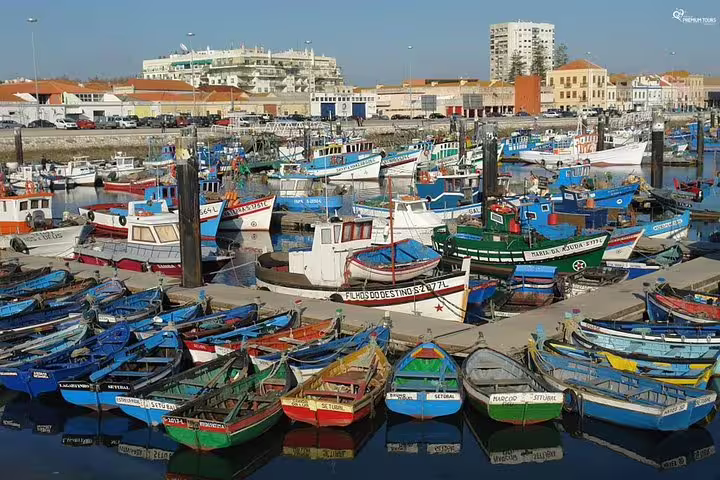 Colorful fishing boats docked at a vibrant harbor in Setúbal, Portugal, showcasing the charm of a private Arrábida and Sesimbra tour.