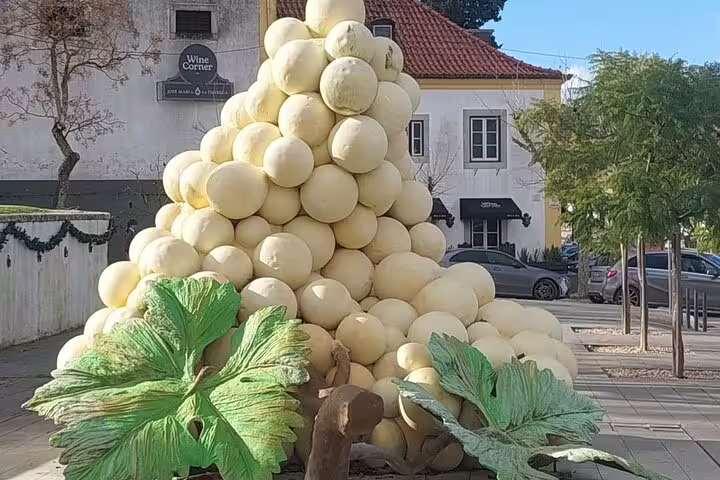 Sculpture of giant grapes in Setúbal, highlighting the region's famous Moscatel wine heritage and culture.