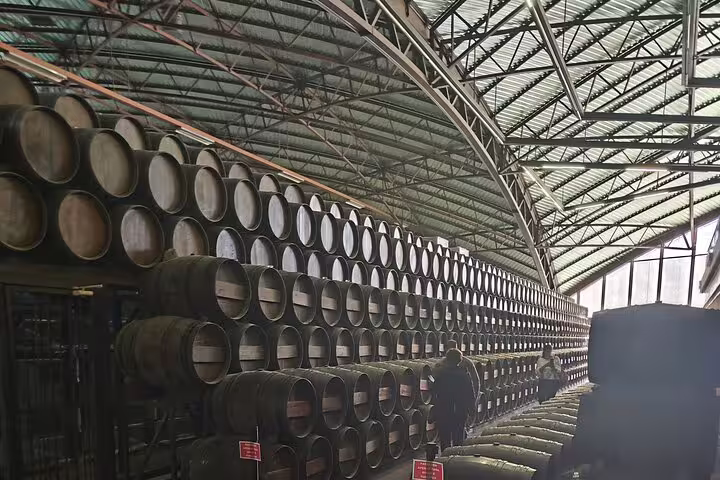 Expansive wine cellar with rows of barrels, showcasing the production scale of Setúbal Moscatel wine tours.