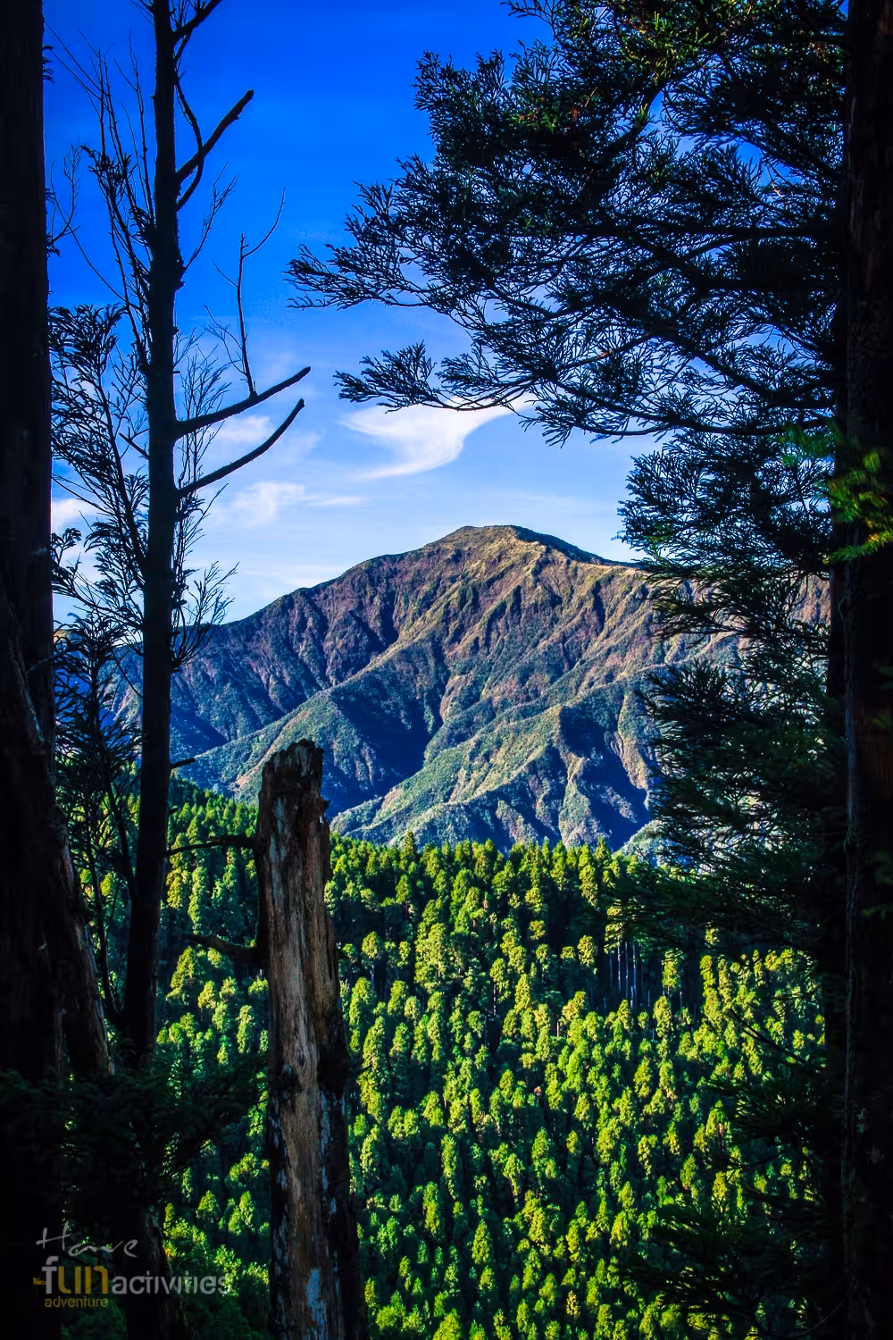 Panoramic Sete Cidades volcanic mountains framed by trees in São Miguel, Azores, HIKE Seven Cities - Ferraria