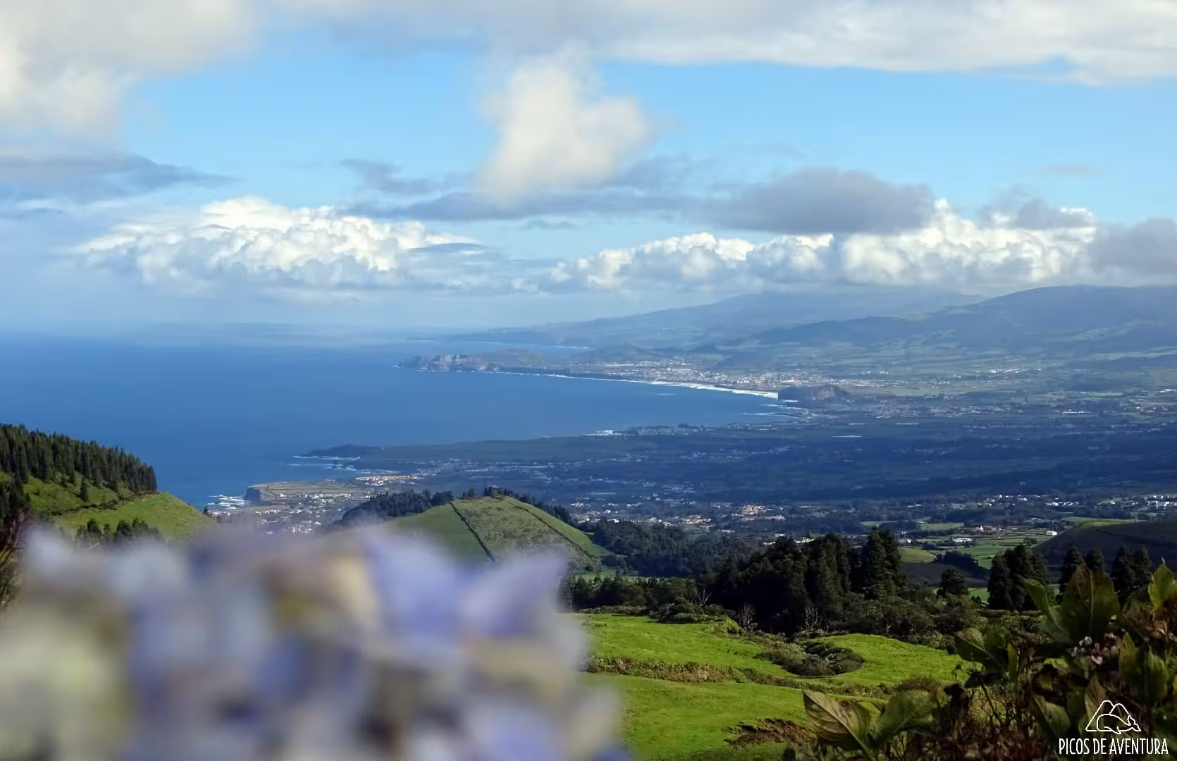 Scenic São Miguel coastline from Sete Cidades van tour, green pastures and Atlantic Ocean viewpoint