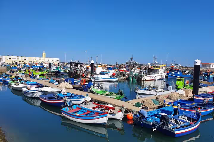 Colorful fishing boats docked at a vibrant harbor in Setúbal, Portugal, under a clear blue sky, part of the Arrábida tour.