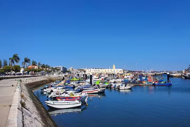 Colorful fishing boats docked in a scenic harbor under a clear blue sky, showcasing the charm of Setúbal on a full-day tour.