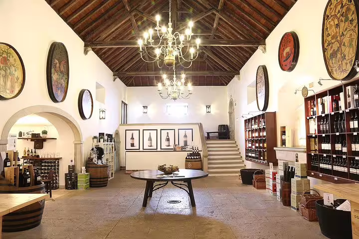 Elegant wine tasting room in Setubal with rustic decor and a variety of wine bottles on display.