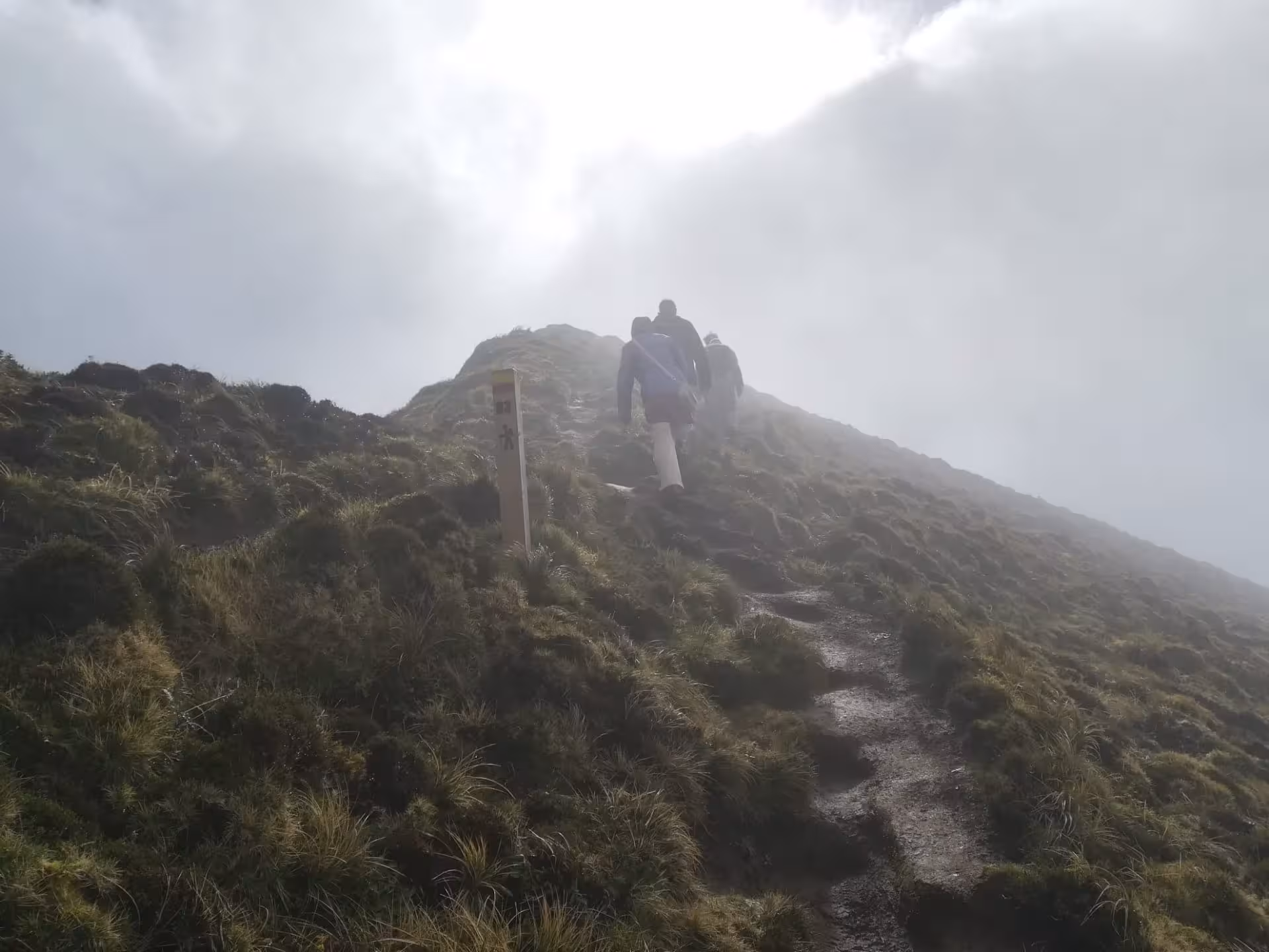 Hikers climbing a misty hillside trail on the Seven Cities half-day walking tour in São Miguel, Azores
