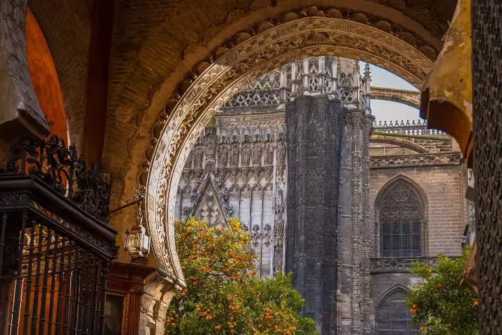 Ornate archway view of Seville Cathedral with orange trees, showcasing the rich history on a guided interior tour.