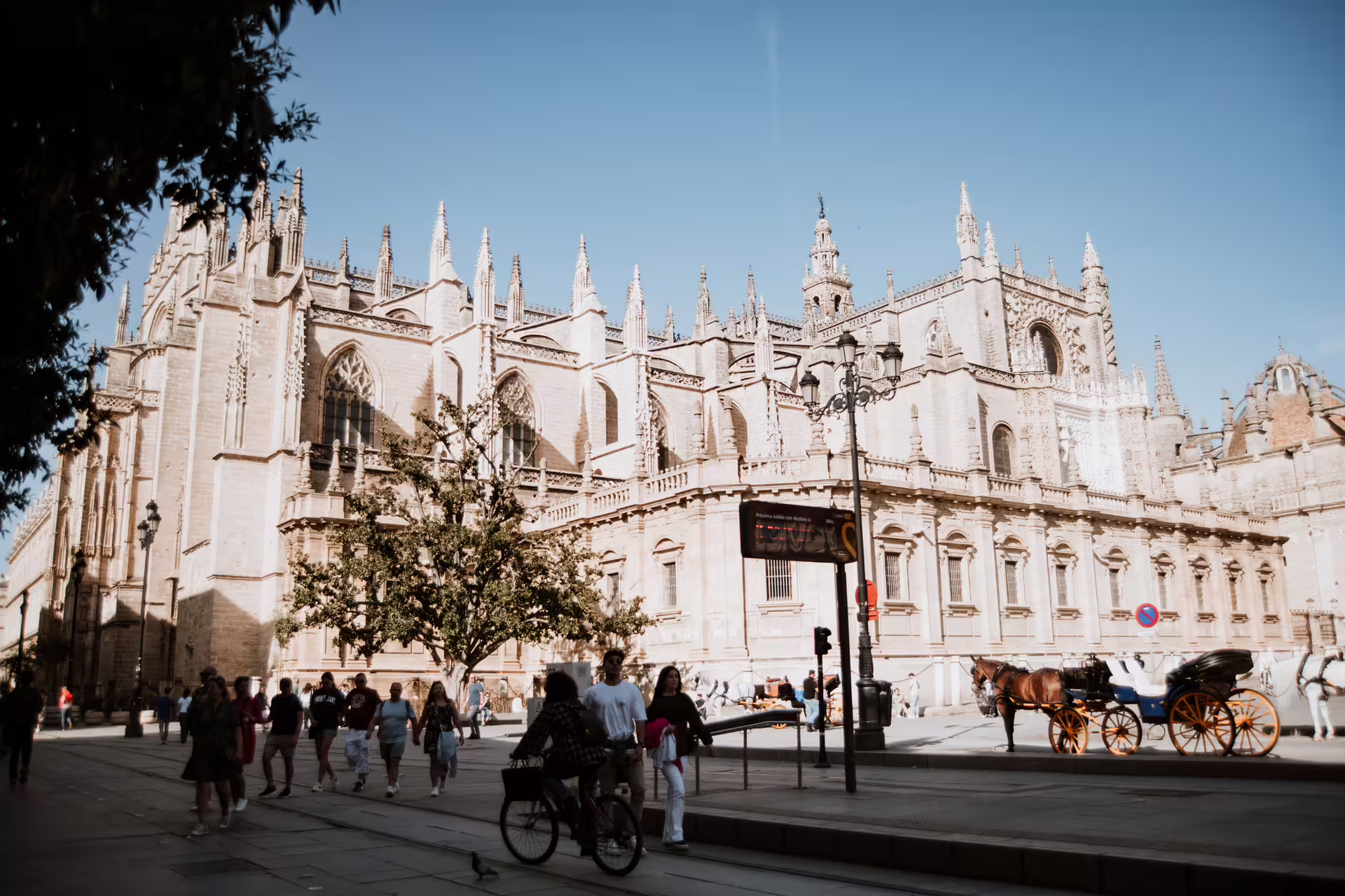 Seville's majestic cathedral backdrop for a vibrant street scene on a private food tour, showcasing local culture and architecture.