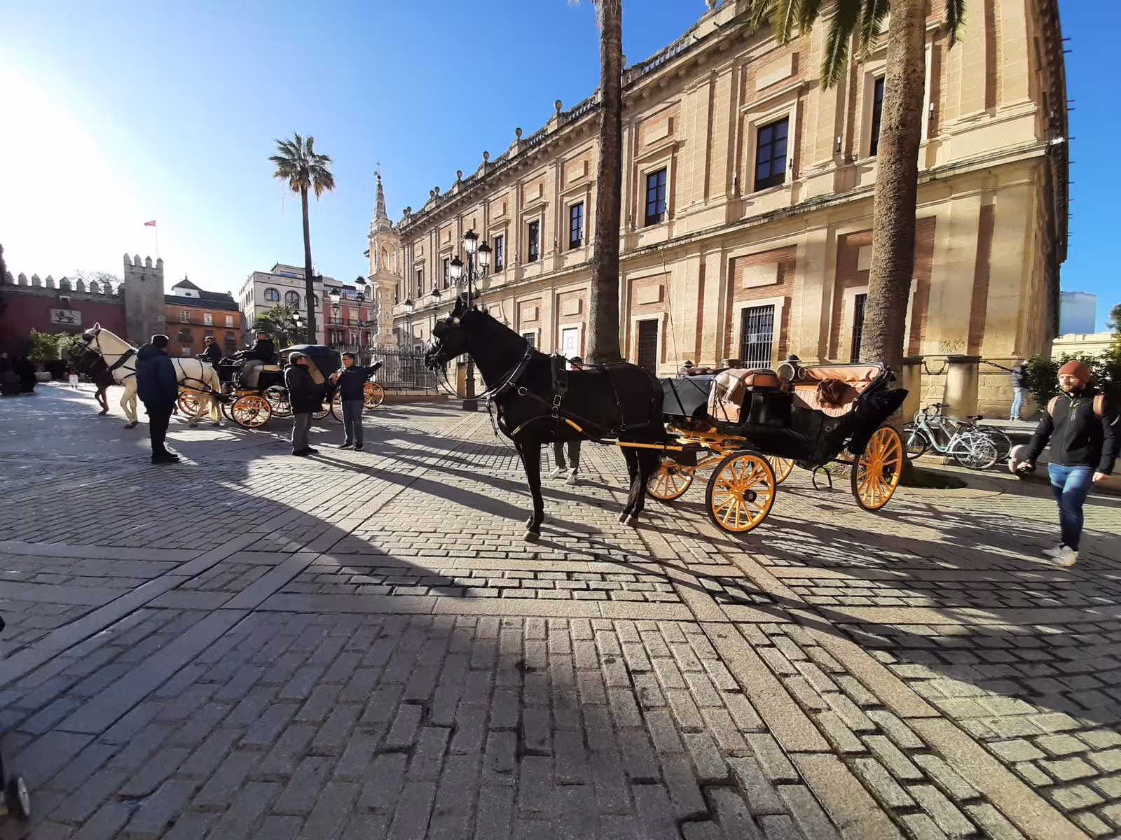 Horse carriage in Seville old town near the cathedral