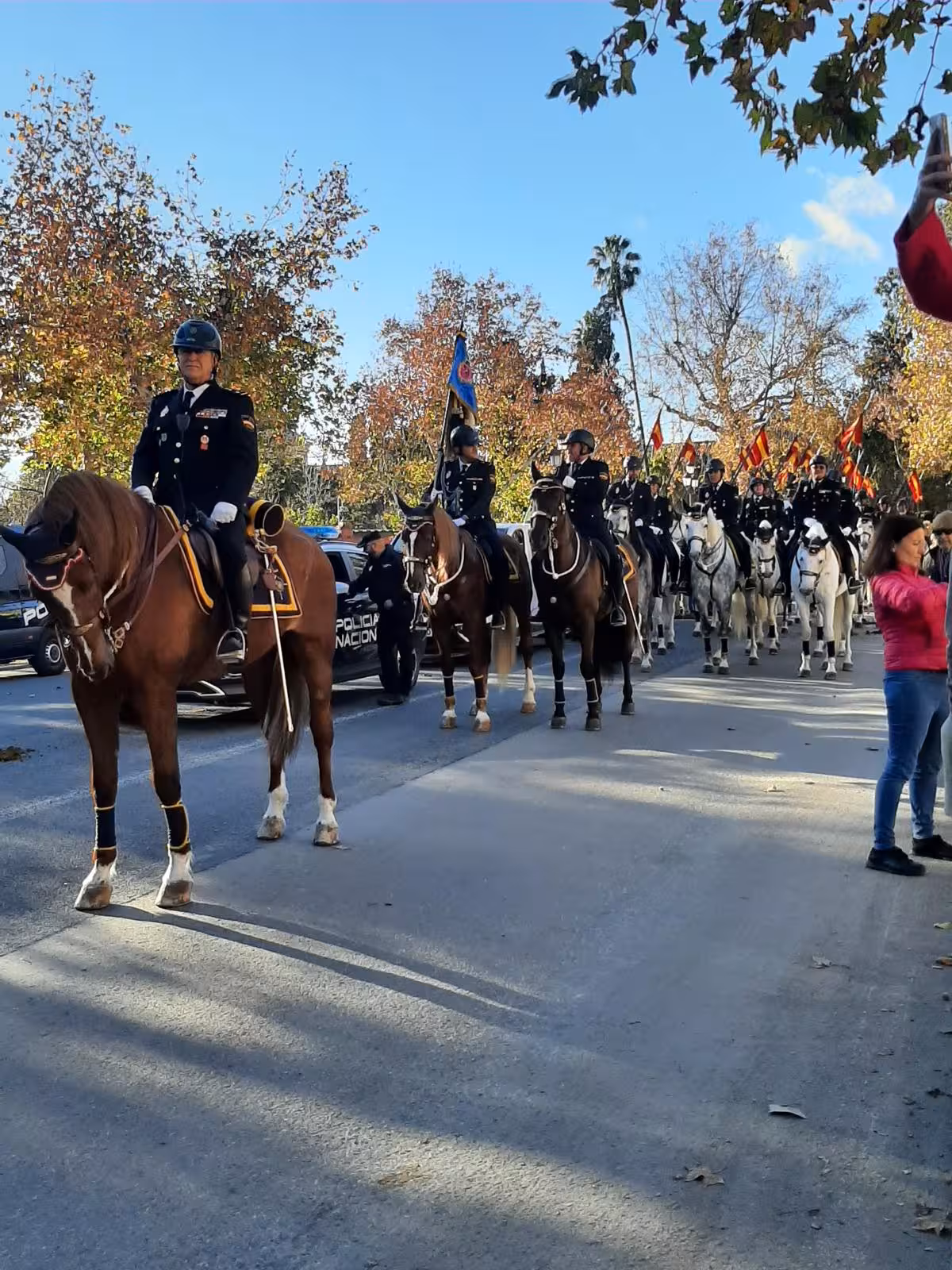 Traditional horse patrol in Seville historic center during a walking tour experience