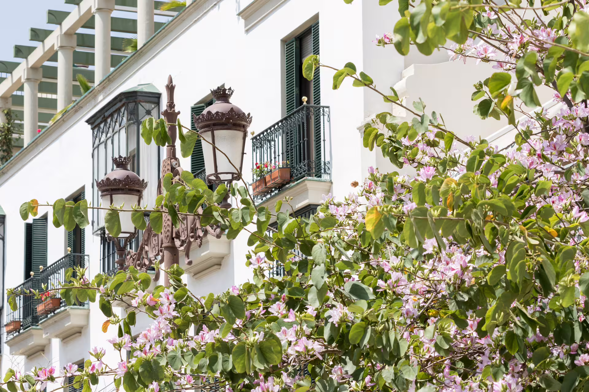 Charming Santa Cruz balcony with blooming flowers and historic street lamp in Seville's Jewish Quarter tour.