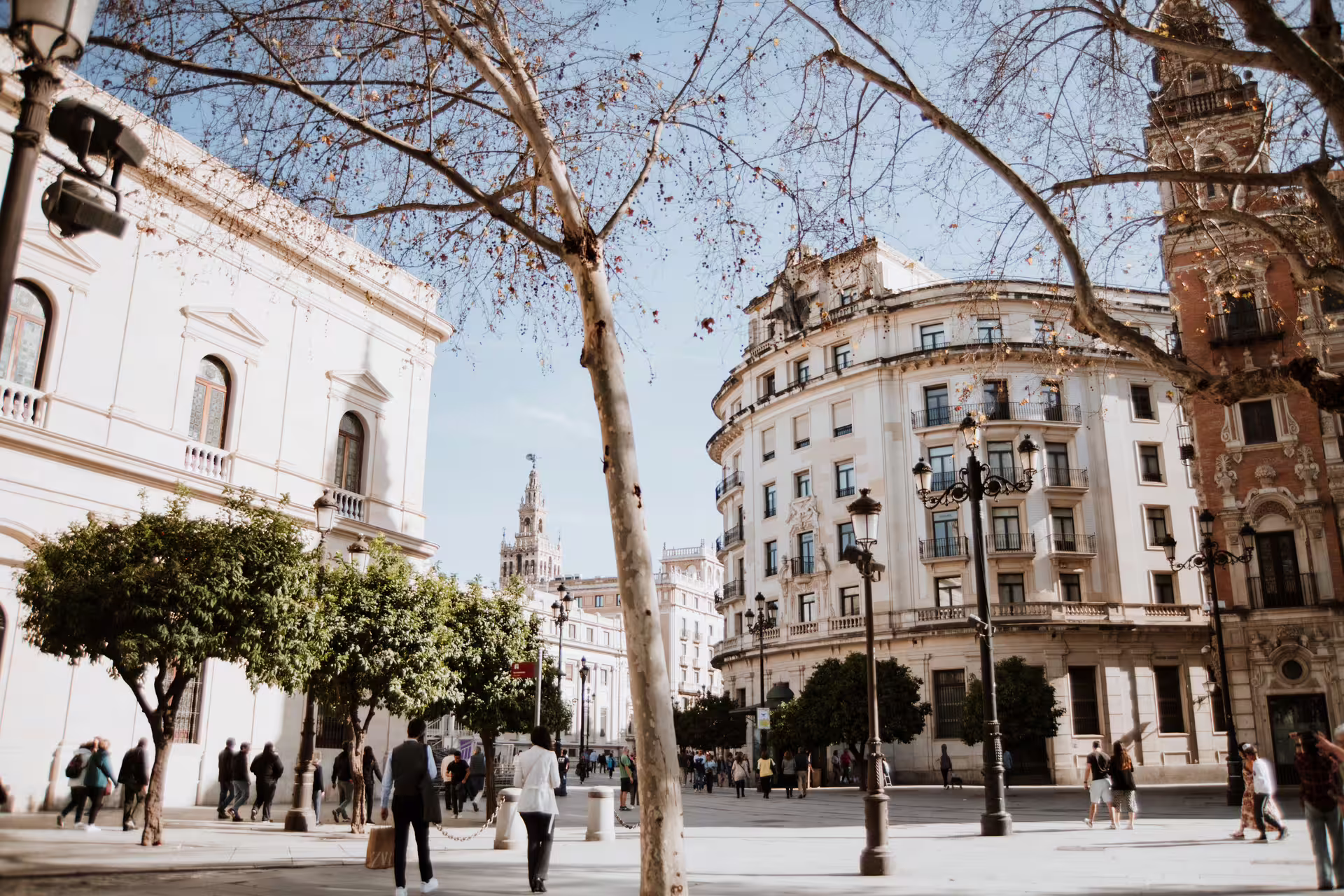 Bustling Seville street with historic architecture and vibrant atmosphere, perfect for a private food tour experience.