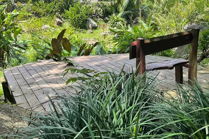 Peaceful wooden deck with a bench overlooking lush tropical greenery in Seychelles, perfect for a private relaxation spot.