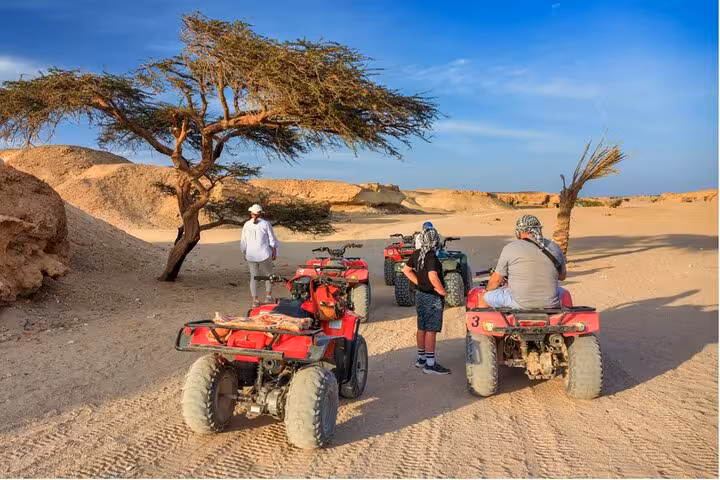 Guided ATV quad stop in Sharm El Sheikh desert with riders and acacia tree at sunrise or sunset