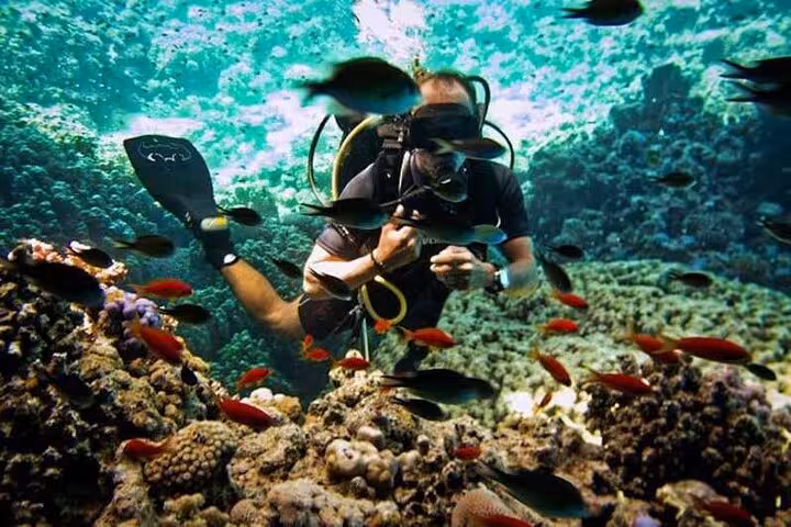 Intro scuba diver exploring Ras Mohammed reef in Sharm El-Sheikh, Red Sea fish and coral garden