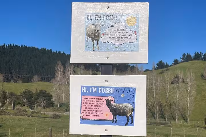Informative signs about sheep breeds at Sheep World, showcasing fun facts and enhancing the Auckland country tour experience.