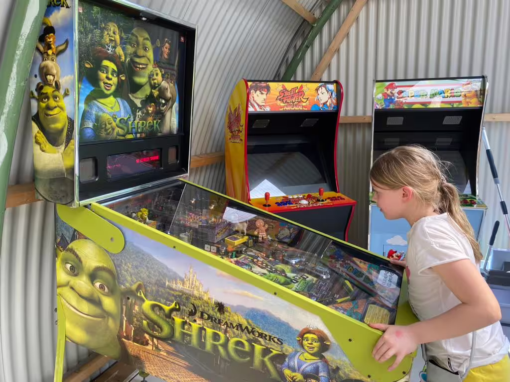 Guest playing Shrek pinball beside classic arcade cabinets at Amsterdam arcade hall venue for private booking