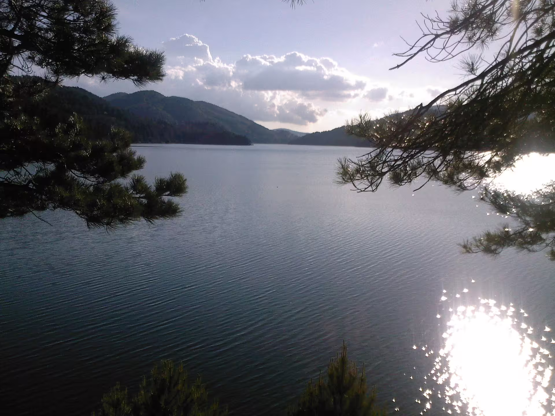 Tranquil mountain lake in Sila National Park at sunset, pine trees framing calm water on a 4-day Presila nature tour