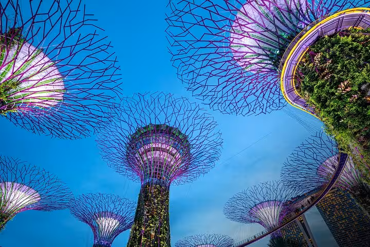 Vibrant Supertree Grove at Gardens by the Bay, Singapore, illuminated against a twilight sky during Marina Bay Night Walk.