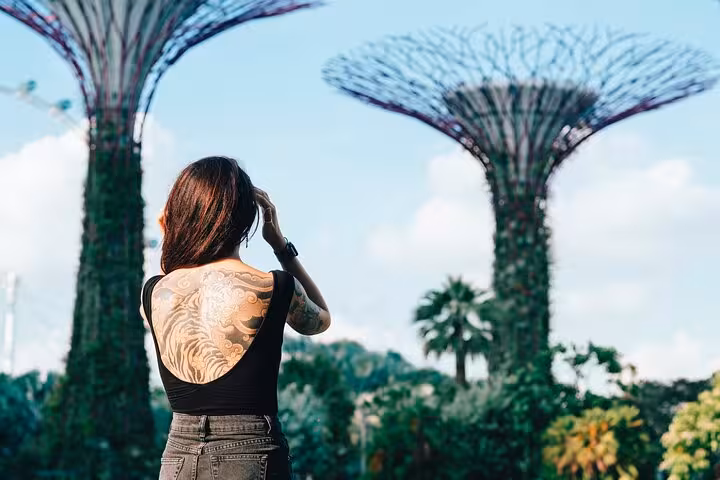 Visitor admiring Singapore's iconic Supertree Grove at Gardens by the Bay on an Instagram walking tour.