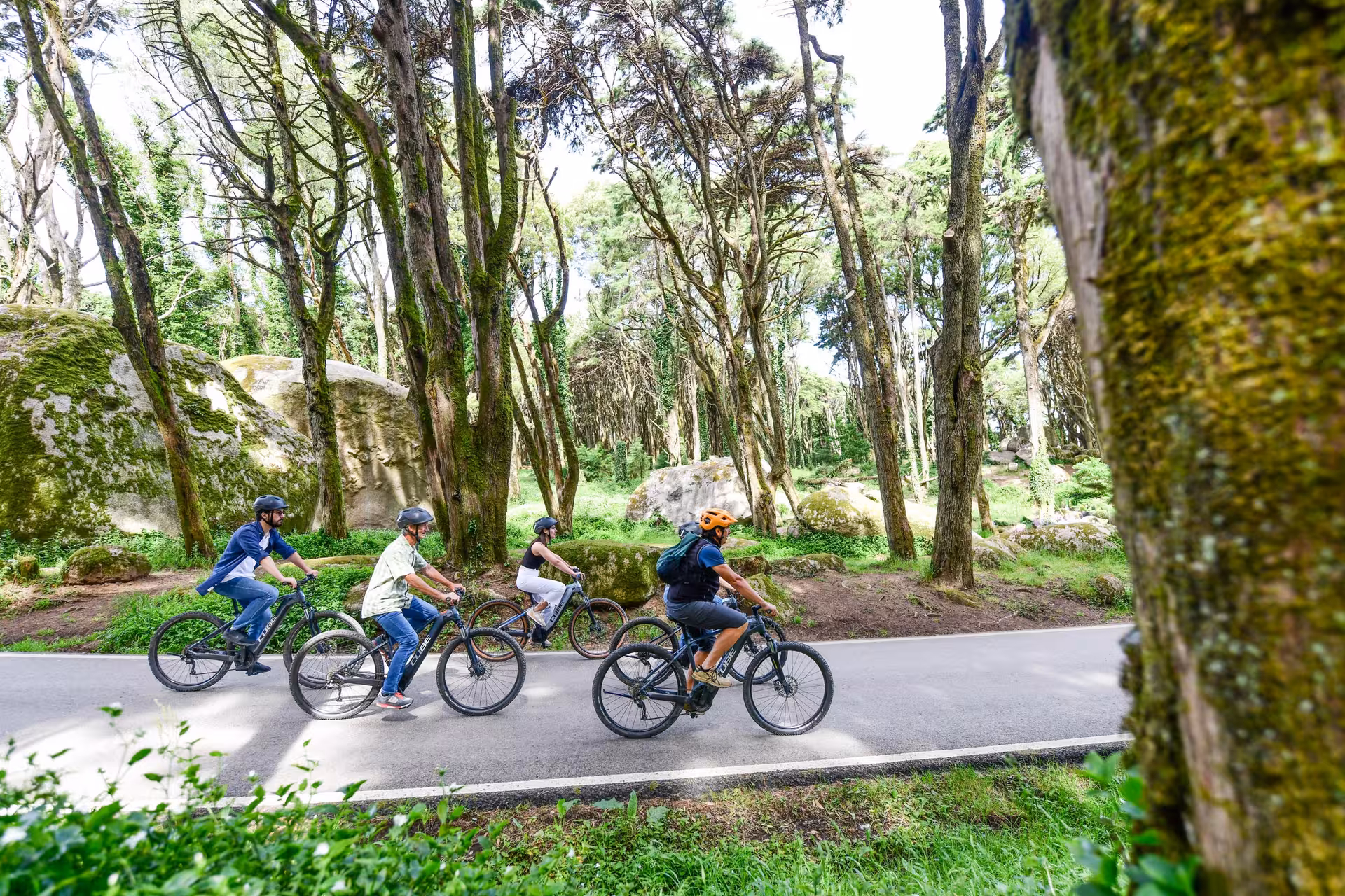 Group enjoying Sintra e-bike tour through lush forest trails, offering a magical nature experience.