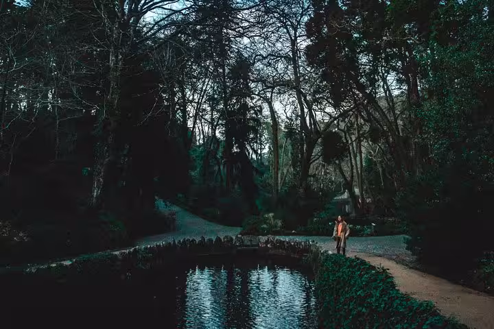 Forest path and pond in Sintra, peaceful scenery on a self-drive tour visiting all monuments and parks