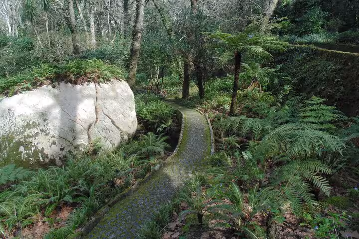 Explore lush forest trails and ancient boulders on a private day tour to Sintra's highest point.