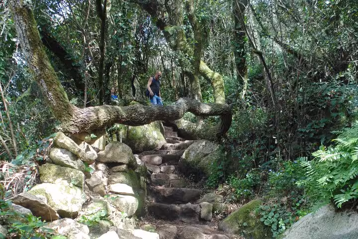 Hiker exploring a rocky, tree-lined path under a natural archway in Sintra's lush landscape.