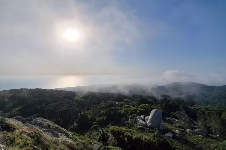 Scenic view of lush Sintra hills with mist and sunlight, captured during a private half-day tour from Lisbon.