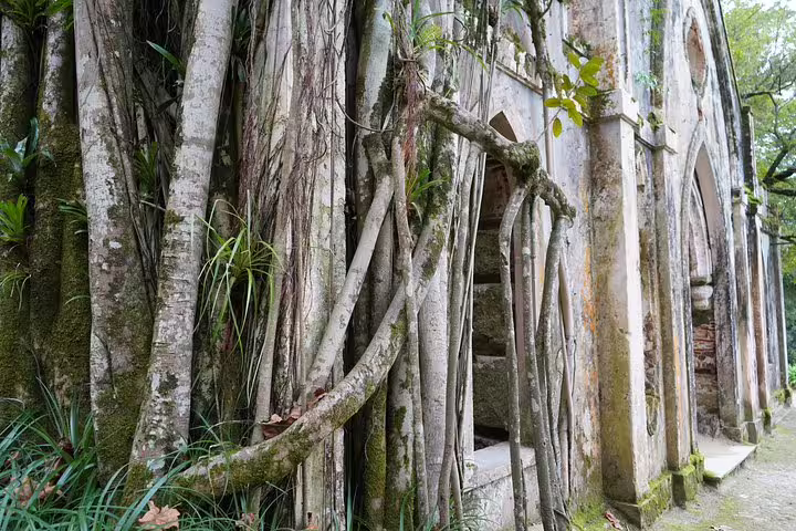 Ancient tree roots envelop a historic stone structure in Sintra, capturing the enchanting blend of nature and architecture on a private tour.