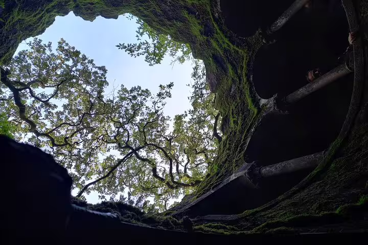 Look up through the mystical moss-covered well opening in Sintra during a private tour from Lisbon or Cascais.