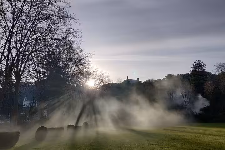 Misty morning sunrays through trees in Sintra, creating a mystical scene near Pena Palace grounds.