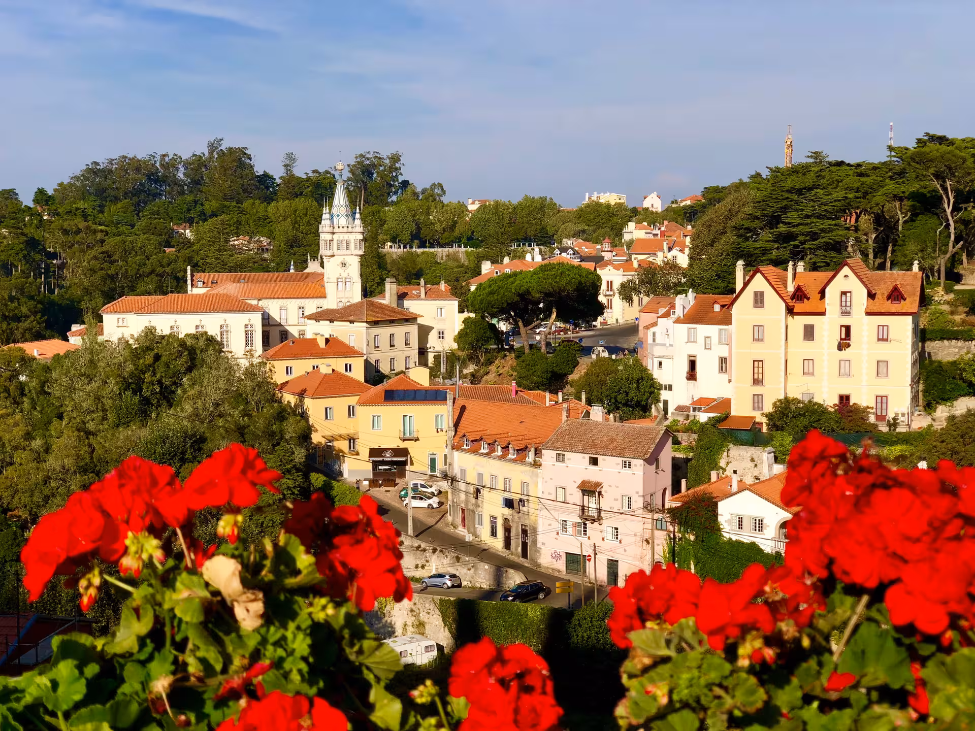 Charming aerial view of Sintra with red flowers in the foreground, capturing the town's scenic beauty and architecture.