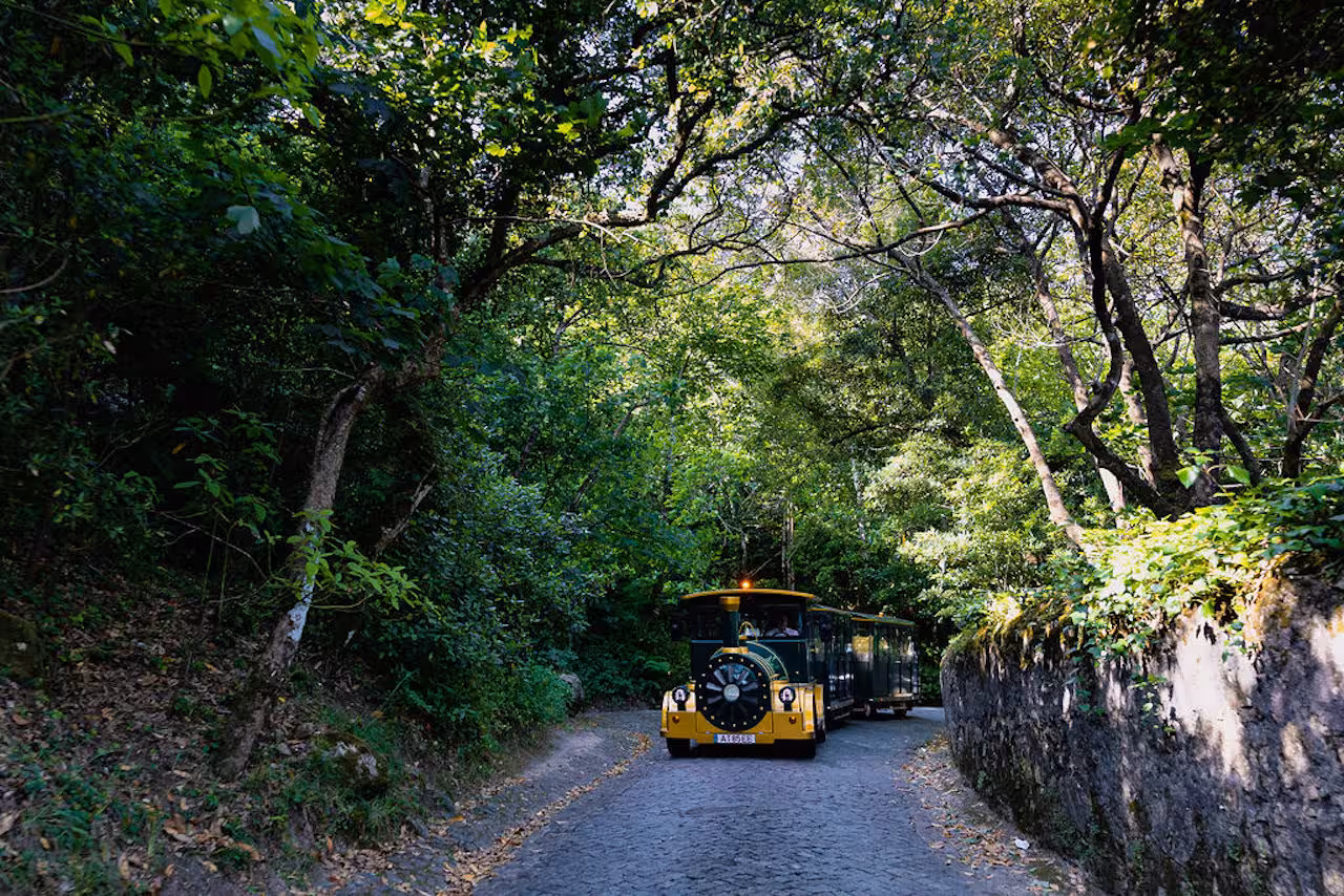 Sintra road train on a shaded woodland lane, guided tour through Sintra-Cascais Natural Park to key sights