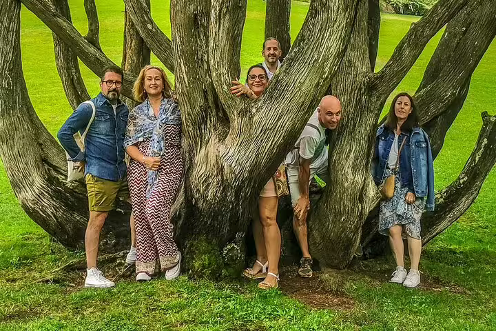 Group of tourists enjoying a scenic moment at a unique tree during a Sintra, Roca, and Cascais private full-day tour.