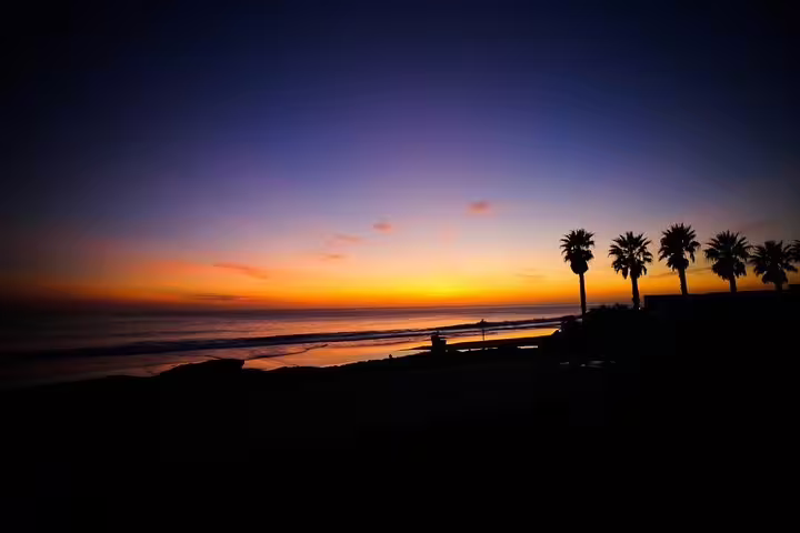 Sunset view with palm trees silhouetted against the vibrant sky, highlighting the beauty of Sintra's coastal landscape.