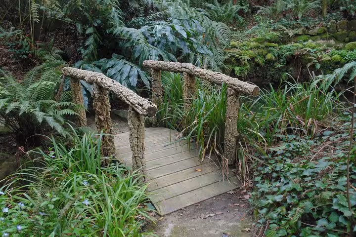 Rustic wooden bridge surrounded by lush greenery in Sintra, Portugal's scenic landscape.