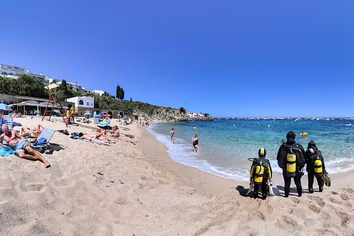 Beachgoers relax on a sunny shore as scuba divers prepare for a small-group underwater adventure in clear blue waters.