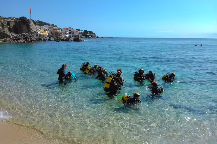 Group of scuba divers preparing for an underwater adventure on a clear, sunny beach in a small-group setting.