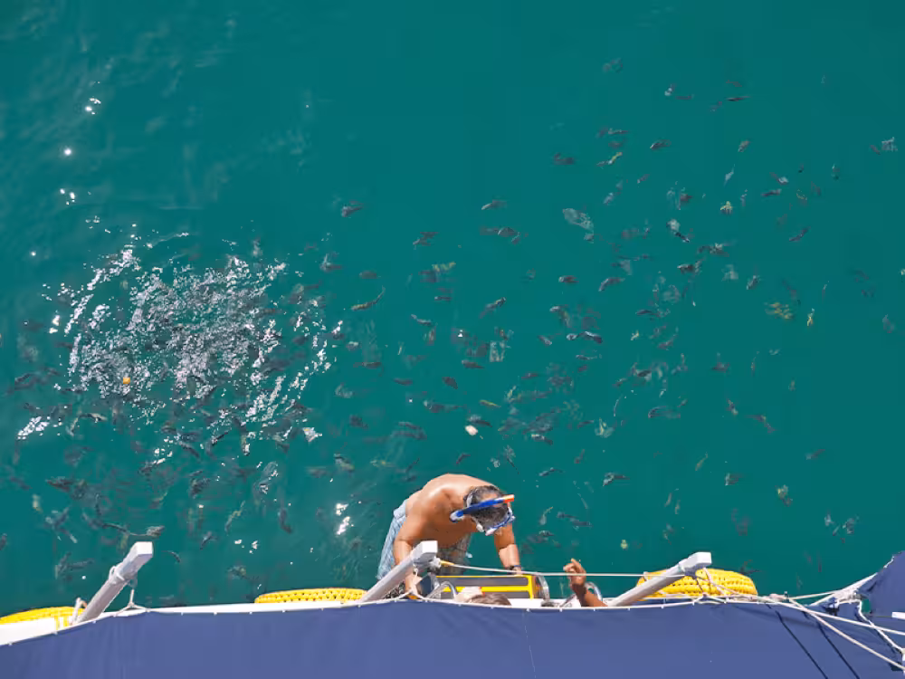 Snorkeler on a boat surrounded by turquoise waters and fish during a 5-hour boat trip in Paraty.