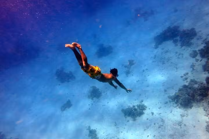 Snorkeler gliding over Red Sea coral reef on day sail to Ras Mohamed and White Island from Sharm El Sheikh