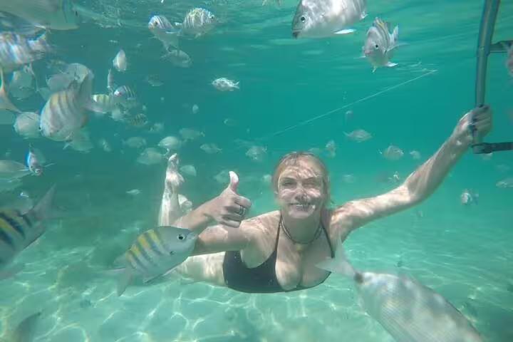 Snorkeler giving thumbs up among tropical fish in clear waters during Angra and Islands speedboat tour from Rio.