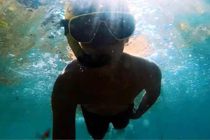 Snorkeler exploring vibrant underwater life in clear turquoise waters, perfect for adventure on a guided boat tour.