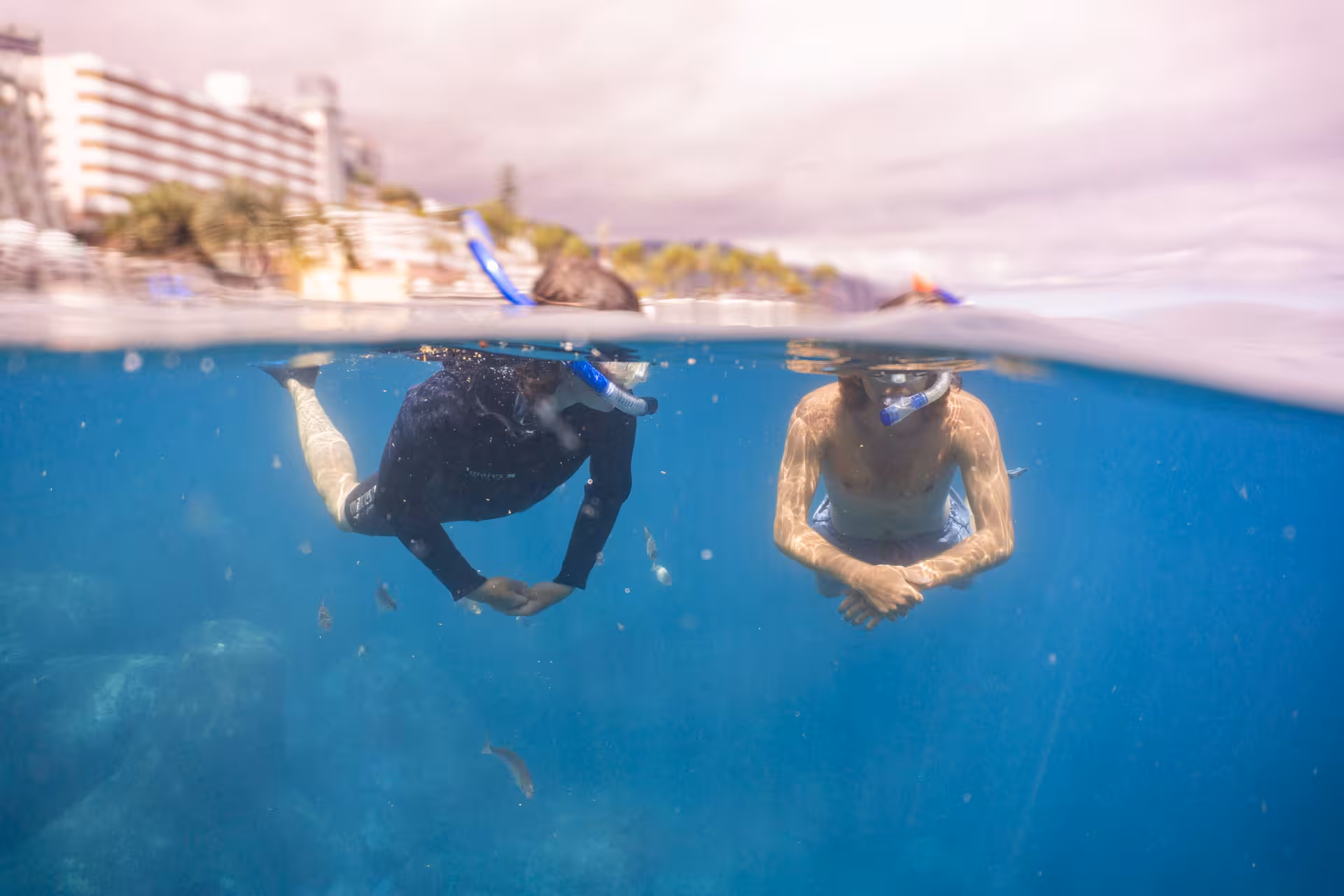 Two snorkelers exploring vibrant marine life near the shore, with buildings in the background, on an eco-park tour.