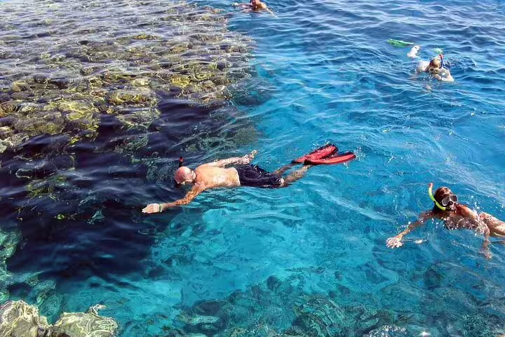 Snorkelers floating above clear Red Sea reef at Samadai, Marsa Alam during VIP dolphin tour