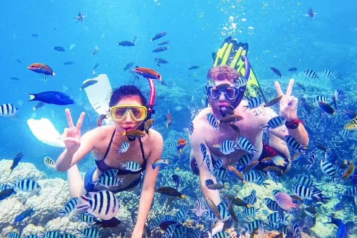 Snorkelers with tropical fish over Red Sea coral reef on VIP boat day trip to Hula Hula Island Hurghada