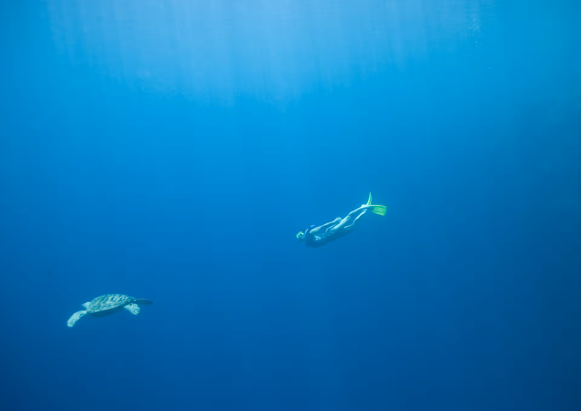 Snorkeler swimming alongside a sea turtle in the clear blue waters between Dubai and Fujairah.