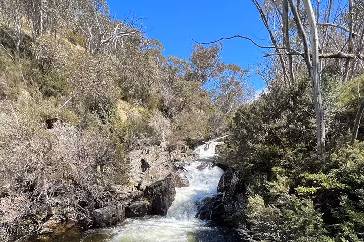 Scenic waterfall surrounded by lush greenery in Snowy Mountains NSW on a sunny day, perfect for a private tour adventure.